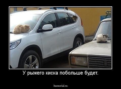 У рыжего киска побольше будет.