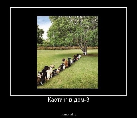 Кастинг в дом-3