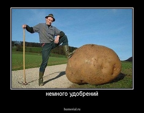 немного удобрений