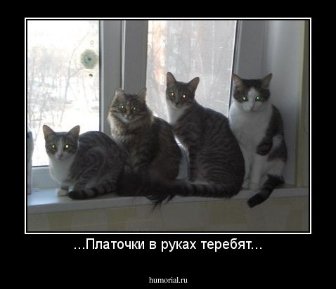 ...Платочки в руках теребят...
