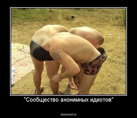 "Сообщество анонимных идиотов"