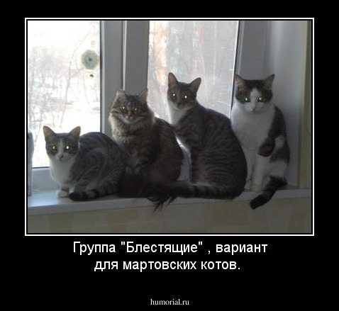 Группа "Блестящие" , вариант для мартовских котов.