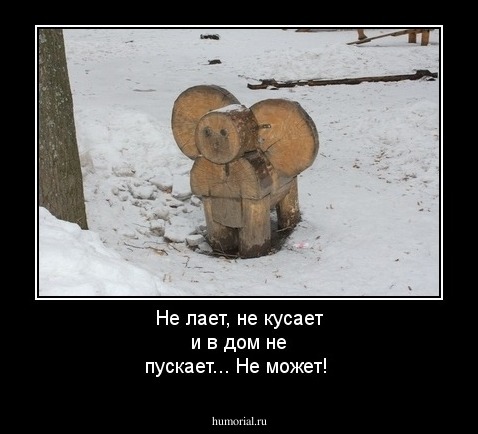 Не лает, не кусает и в дом не пускает...
Не может!