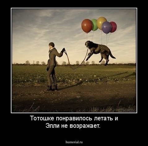 Тотошке понравилось летать и Элли  не возражает.