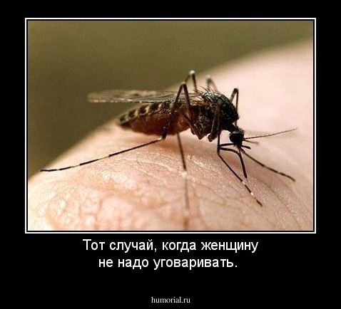 Тот случай, когда женщину не надо уговаривать.