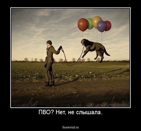 ПВО? Нет, не слышала.