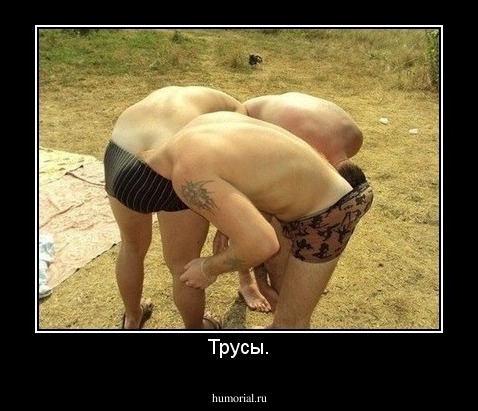 Трусы.