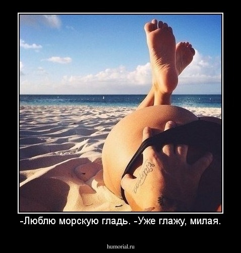 -Люблю морскую гладь. -Уже глажу, милая.