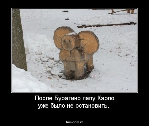После Буратино папу Карло уже  было не остановить.