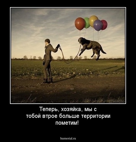 Теперь, хозяйка, мы с тобой втрое больше территории пометим! 