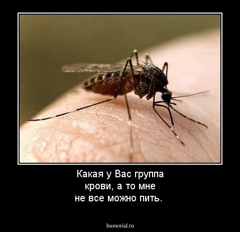 Какая у Вас группа крови, а то мне не все можно пить.