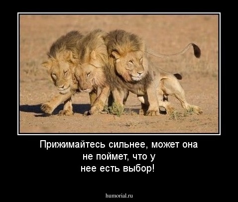 Прижимайтесь сильнее, может она не поймет, что у нее есть выбор!