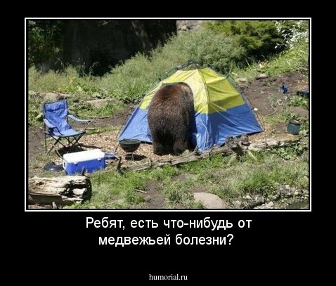 Ребят, есть что-нибудь от медвежьей болезни?