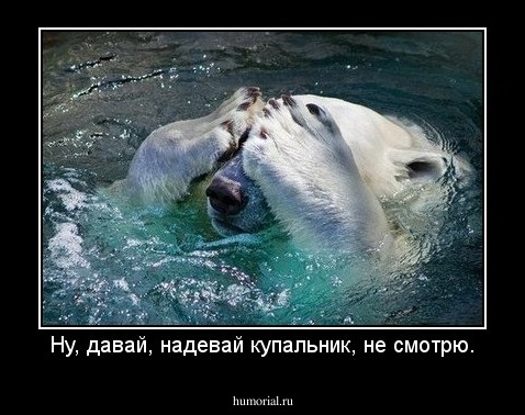 Ну, давай, надевай купальник, не смотрю.