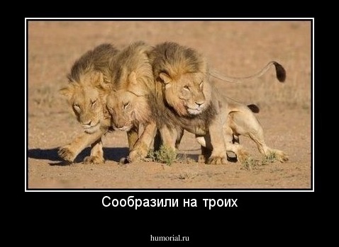 Сообразили на троих