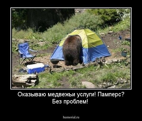 Оказываю медвежьи услуги! Памперс? Без проблем!