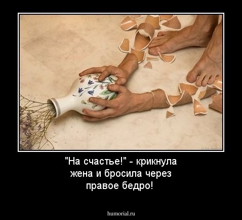 "На счастье!" - крикнула жена и бросила через правое бедро!
