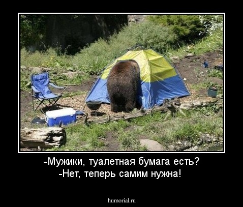-Мужики, туалетная бумага есть?
-Нет, теперь самим нужна!