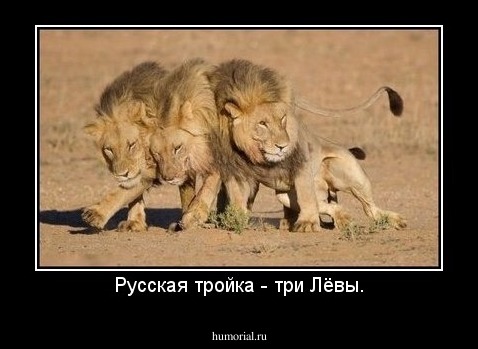 Русская тройка - три Лёвы.