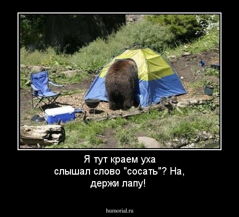 Я тут краем уха слышал слово "сосать"? На, держи лапу!