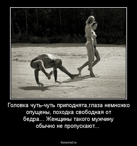 Головка чуть-чуть приподнята,глаза немножко опущены, походка свободная от бедра...
Женщины такого мужчину обычно не пропускают...
