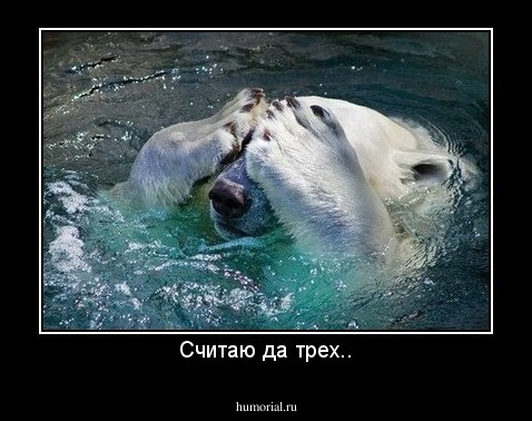 Считаю да трех..