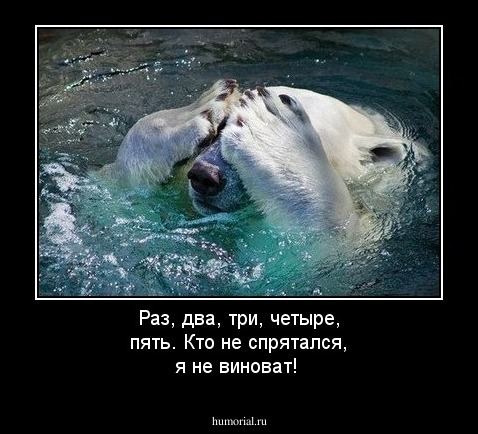 Раз, два, три, четыре, пять. Кто не спрятался, я не виноват!