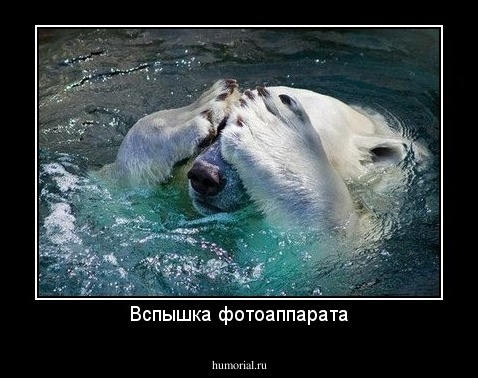 Вспышка фотоаппарата