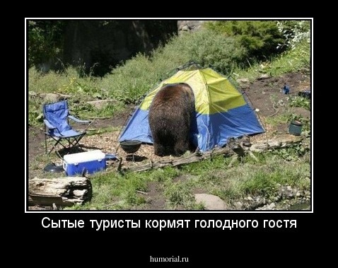 Сытые туристы кормят голодного гостя