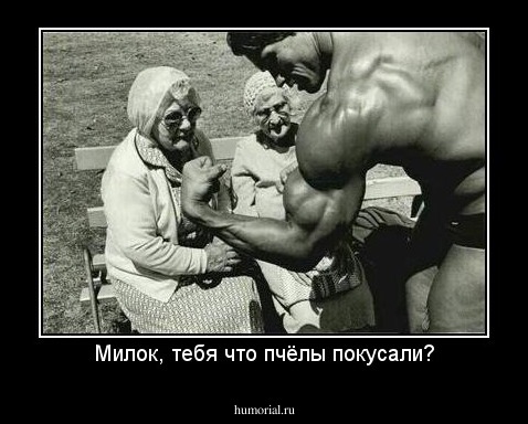 Милок, тебя что пчёлы покусали?