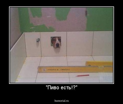 "Пиво есть!?"