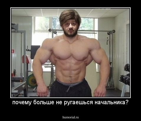 почему больше не ругаешься начальника?