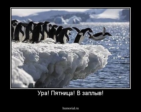 Ура! Пятница! В заплыв!