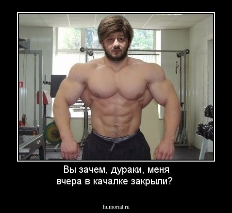Вы зачем, дураки, меня вчера в качалке закрыли?