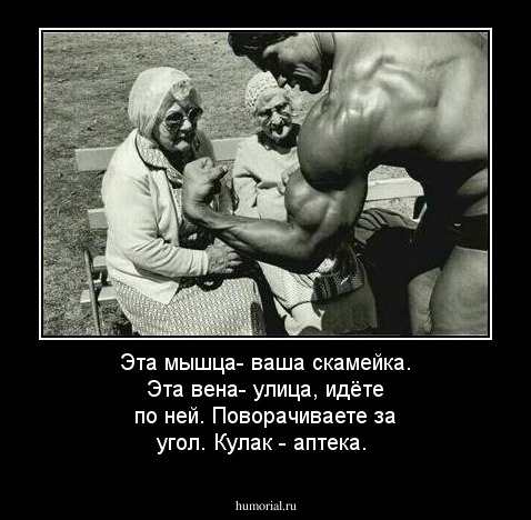 Эта мышца- ваша скамейка. Эта вена- улица, идёте по ней. Поворачиваете за угол. Кулак - аптека.