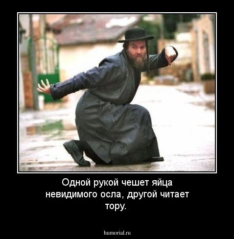 Одной рукой чешет яйца невидимого осла, другой читает тору.