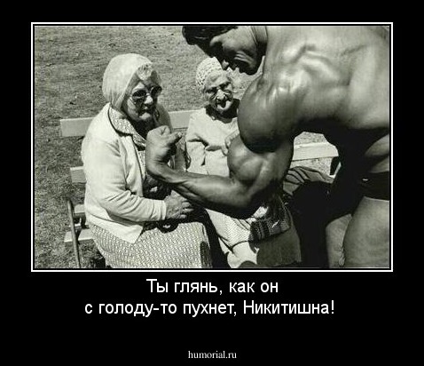 Ты глянь, как он с голоду-то пухнет, Никитишна!