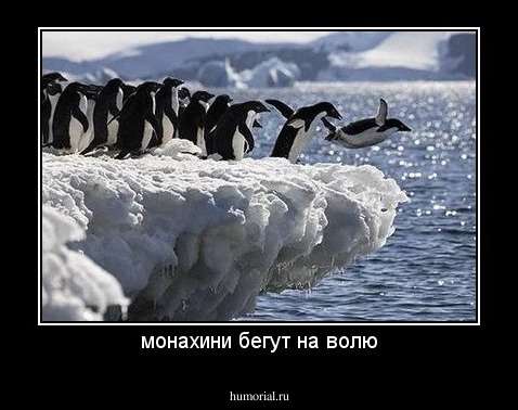 монахини бегут на волю
