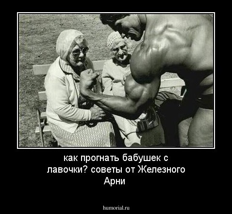 как прогнать бабушек с лавочки? советы от Железного Арни