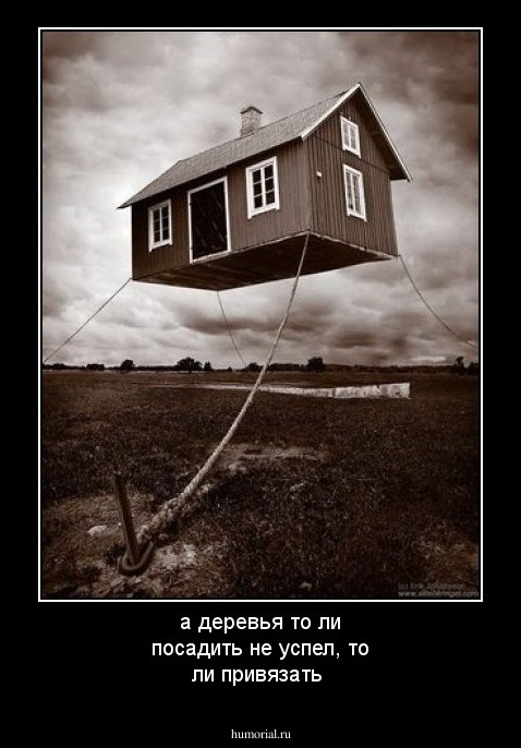 а деревья то ли посадить не успел, то ли привязать