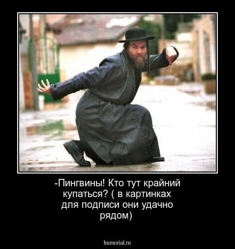 -Пингвины! Кто тут крайний купаться?
( в картинках для подписи они удачно рядом)