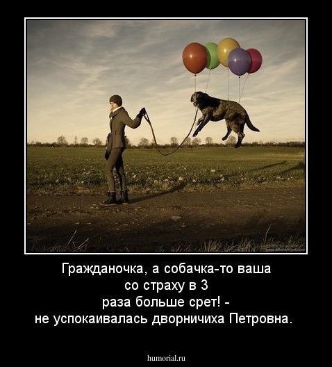 Гражданочка, а собачка-то ваша со страху в 3 раза больше срет! - не успокаивалась дворничиха Петровна.