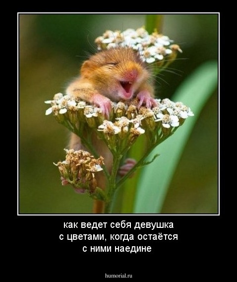 как ведет себя девушка с цветами, когда остаётся с ними наедине