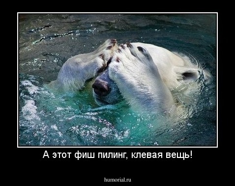 А этот фиш пилинг, клевая вещь!