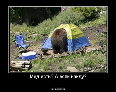 Мёд есть? А если найду?