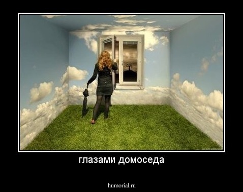 глазами домоседа