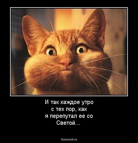 И так каждое утро с тех пор, как я перепутал ее со Светой...