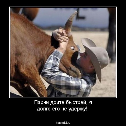 Парни доите быстрей, я долго его не удержу! 