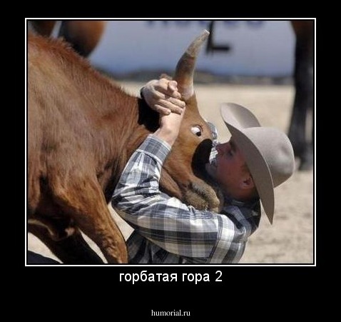 горбатая гора 2