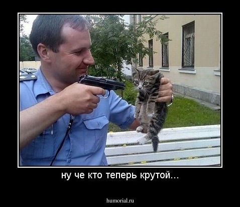 ну че кто теперь крутой...
